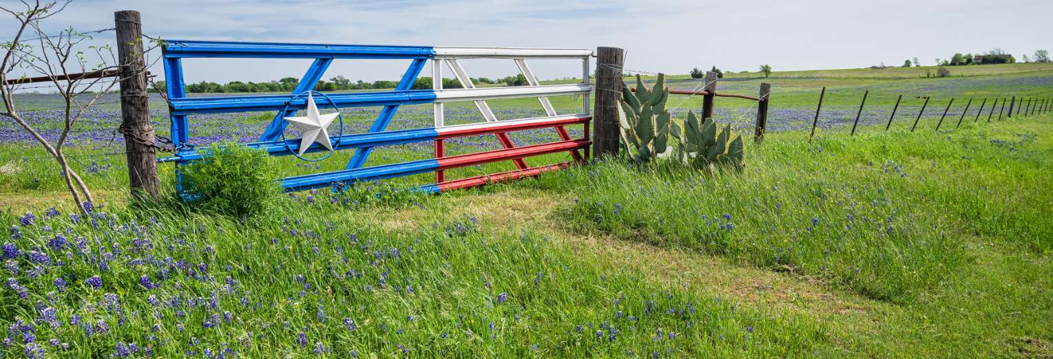 Field with gate painted like the Texas flag