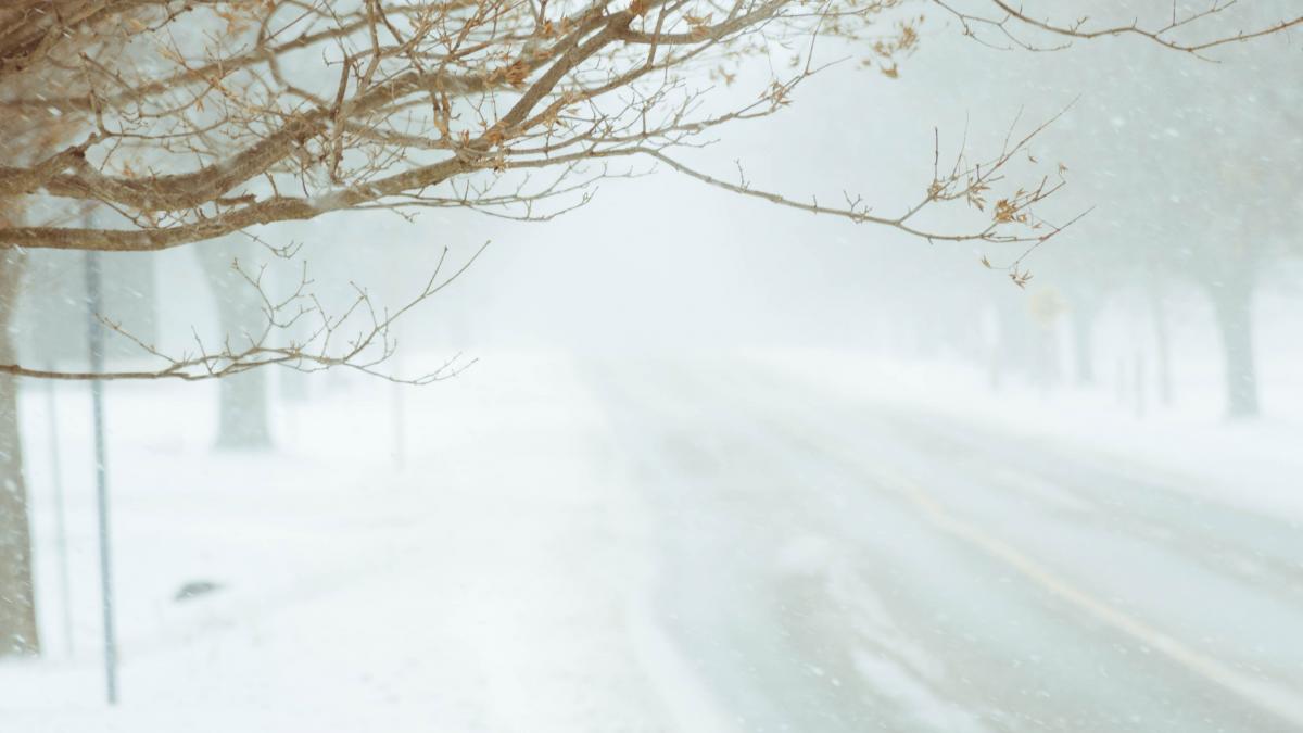 Winter Storm